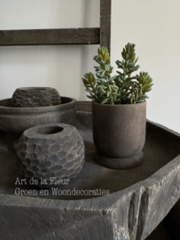 Steker | Succulent 21 cm per stuk