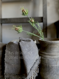 Nigella tak met 3 knopjes 56 cm