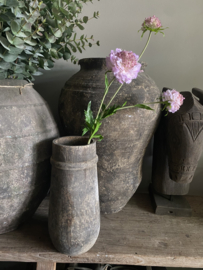 Scabiosa heel zacht Lila 76 cm