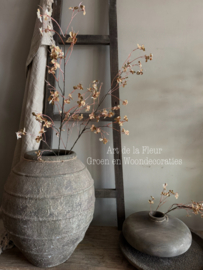 Floral Stem | Bruin Naturel 112 cm