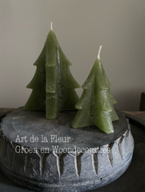 Tree Candle green M 12 x 9.5