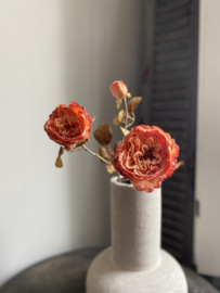 Fel gekleurde roos 60 cm