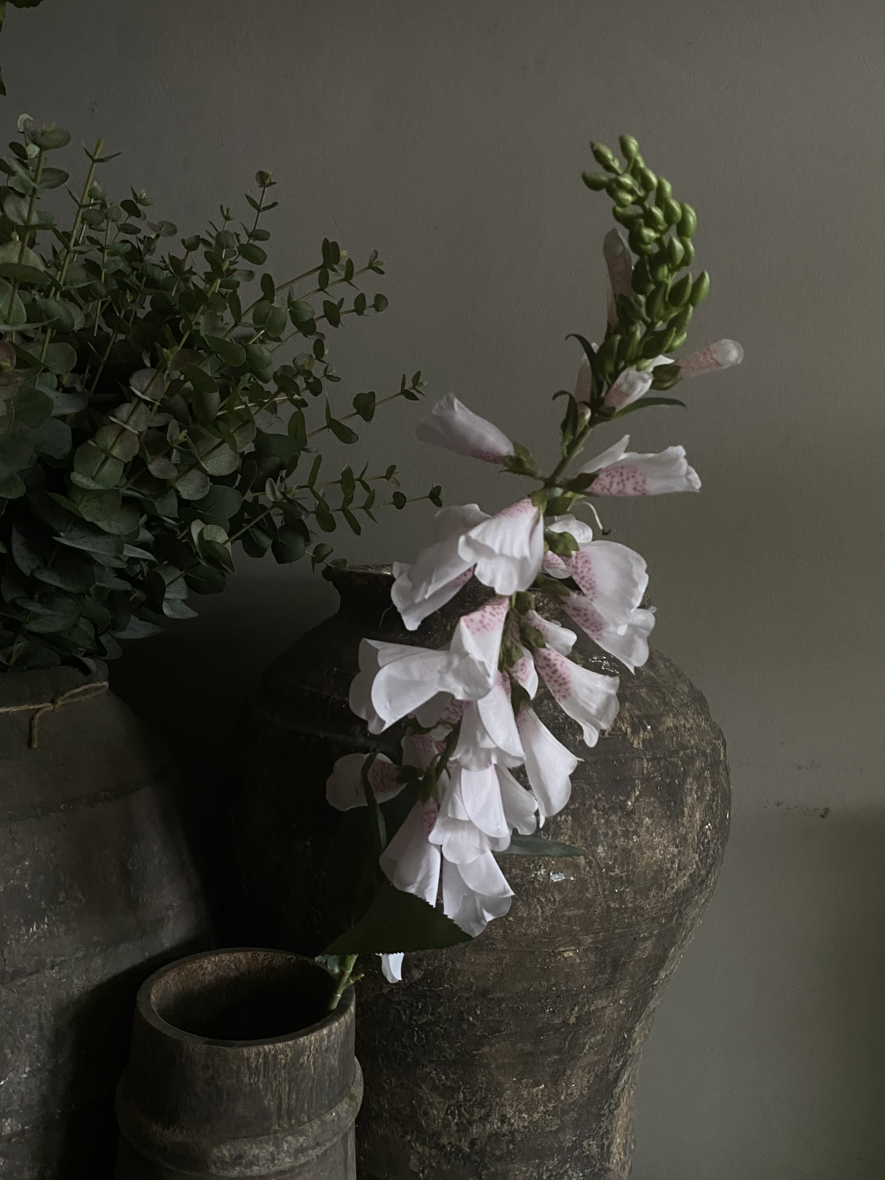 Foxglove 89 cm