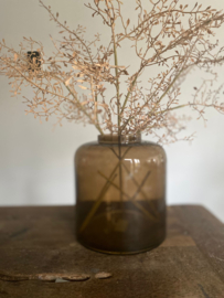 Corokia Spray Nude 104 cm