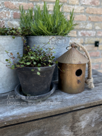 Vogelhuisje Rusty met ophangring en stoer touw