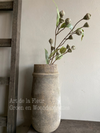 Eucalyptus Seed spray Green 71 cm