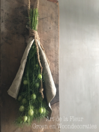 Nigella toef mt S 60 cm incl lus ( licht groene bolletjes )