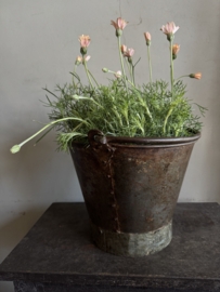 Oud uitziende emmer  S 20 x 23