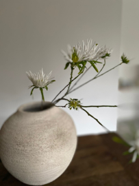 Chrysant  fijn Wit 109 cm