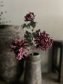 Chrysant drie bloemen per steel