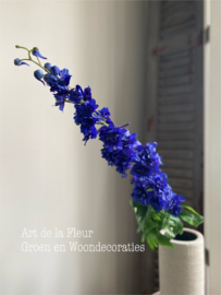 Ridderspoor | Delphinium 1.00 | 1.10 cm Blauw