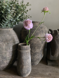 Scabiosa heel zacht Lila 76 cm