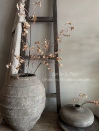 Floral Stem | Bruin Naturel 112 cm