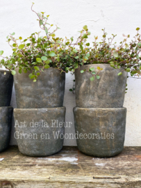 Beton pot Olive 10.5 x 11. 5 