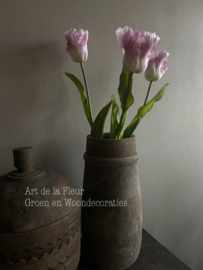 Papegaai tulp de luxe gemêleerd licht 51 cm