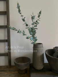 Kunst tak Eucalyptus PTMD