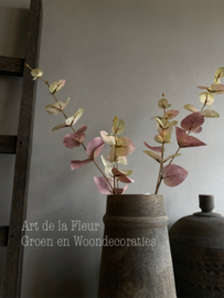Eucalyptus two colours 81 cm