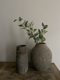 Eucalyptus 85 cm