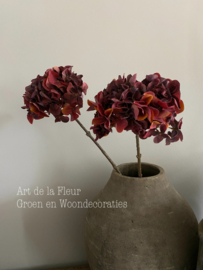 Hortensia red | Burgundy 67 cm