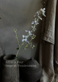 Delphinium ( Ridderspoor )  100 cm