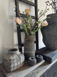 Samengesteld , Bloesem, Pimpernel en Tulpen