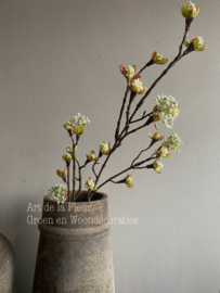 Esdoorn fruittak M wit 55 cm