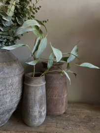 Eucalyptus grijs groen 84 cm