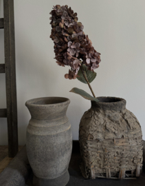 Hortensia Paniculata 82 cm licht gedroogde uitstraling
