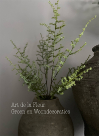 Kunst tak Wilde Asparagus gras groen 5 vertakkingen