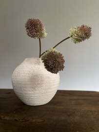 Alium Groen met Aubergine 60 cm