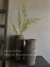 Wilde Asparagus 100 cm Kunst 5 vertakkingen groen
