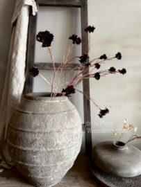 Cornflower | Burgundy Real Touch 89 cm