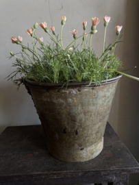 Oud uitziende emmer  I 30 x 25