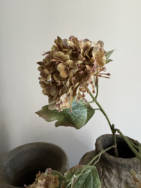 Sneeuwbal met drie bloemen 80 cm licht gedroogde uitstraling