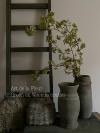 Groene Bloesem 112 cm