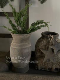 Cypresse bosje van drie takjes  groen 45 cm