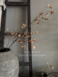 Floral Stem | Bruin Naturel 112 cm