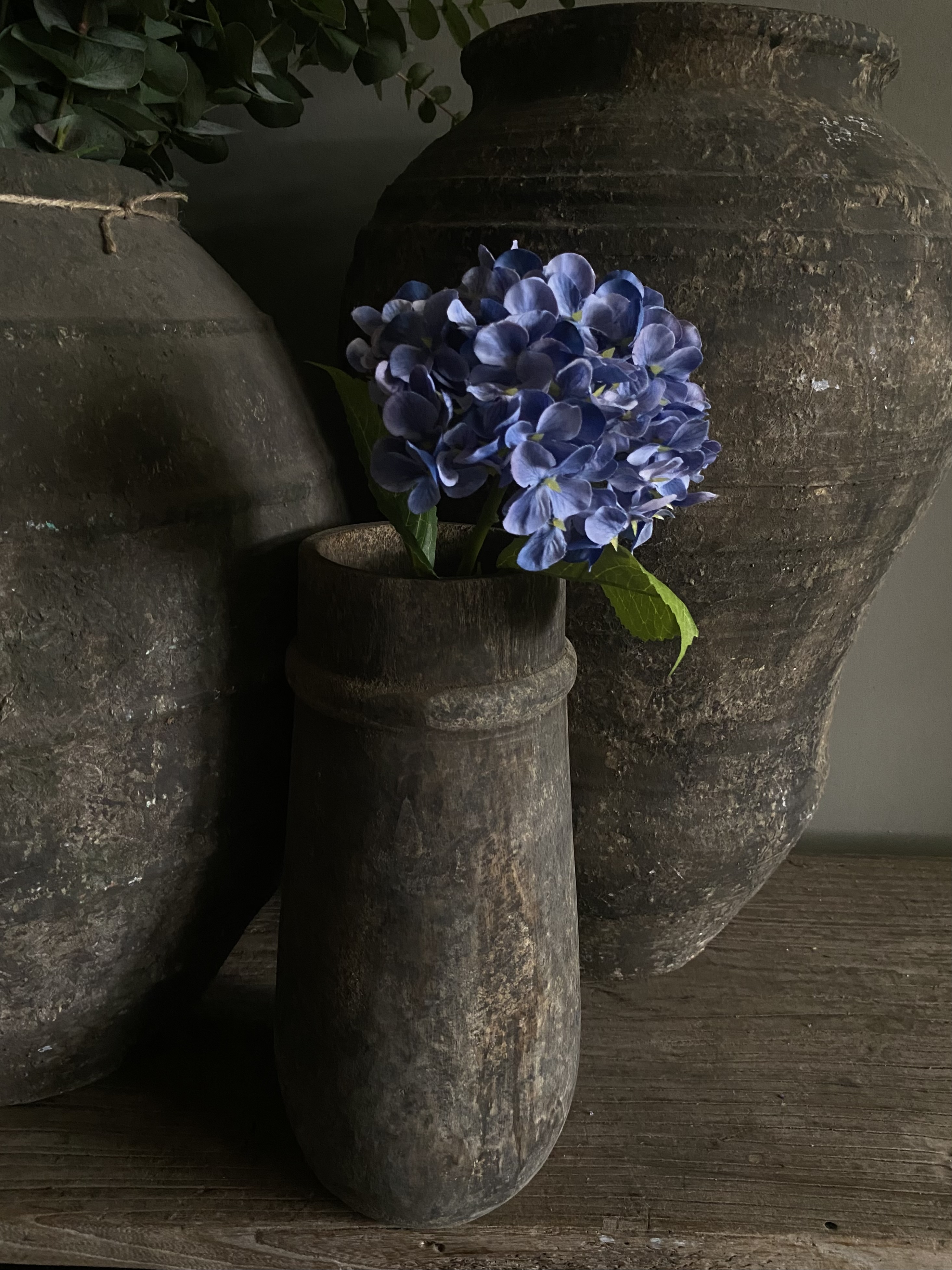 Hortensia Blauw 40 cm