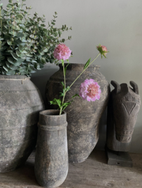 Scabiosa Roze 76 cm