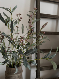 Basis kunst boeket Olijf , Ptilotus en Eucalyptus bes