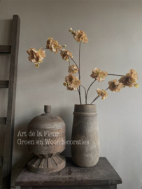 Bloesemtak 115 cm beige