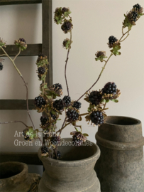 Bramentak black 76 cm