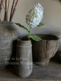 Hydrangea | pluim Hortensia wit