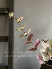 Eucalyptus two colours 81 cm