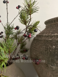 Kerst kunst boeket 3 takken groen en 1  Rode bes