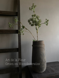 Angelica tak groen 90 cm