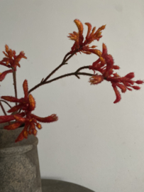 Kangoeroe pootje steel donker Oranje  ruig  71 cm