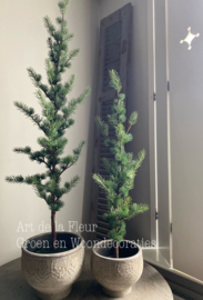 Div Kerst , nobilis , larix boompjes