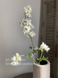 White / Purper Delphinium Wild 77 cm