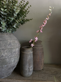 Larkspur 93 cm